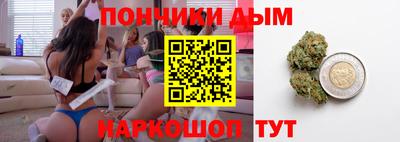 индика Лесосибирск