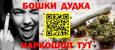индика Лесосибирск