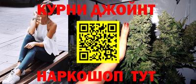 индика Лесосибирск