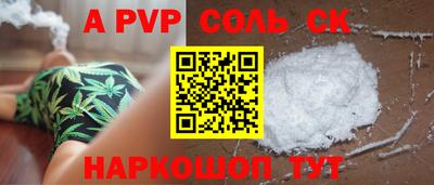индика Лесосибирск