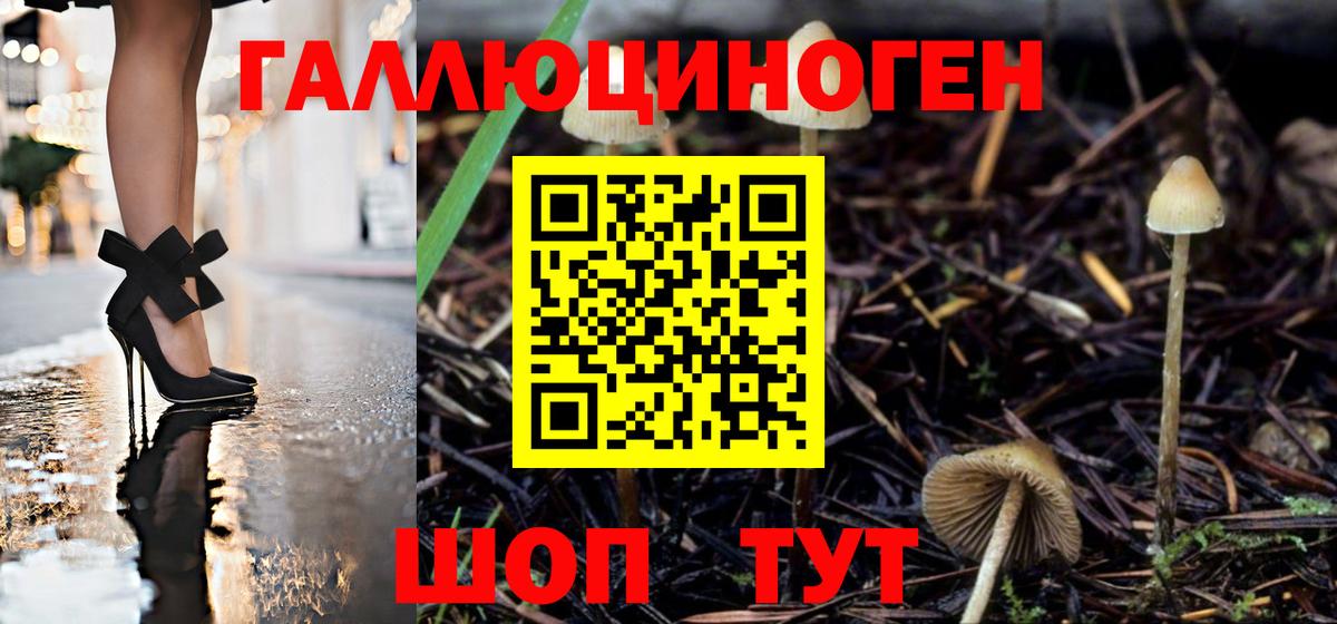 Псилоцибиновые грибы GOLDEN TEACHER Шали